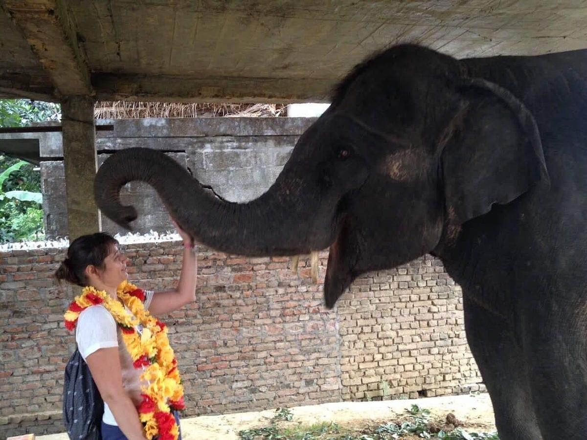Teach English & Support Sustainable Development in Rural Nepal — full size 9