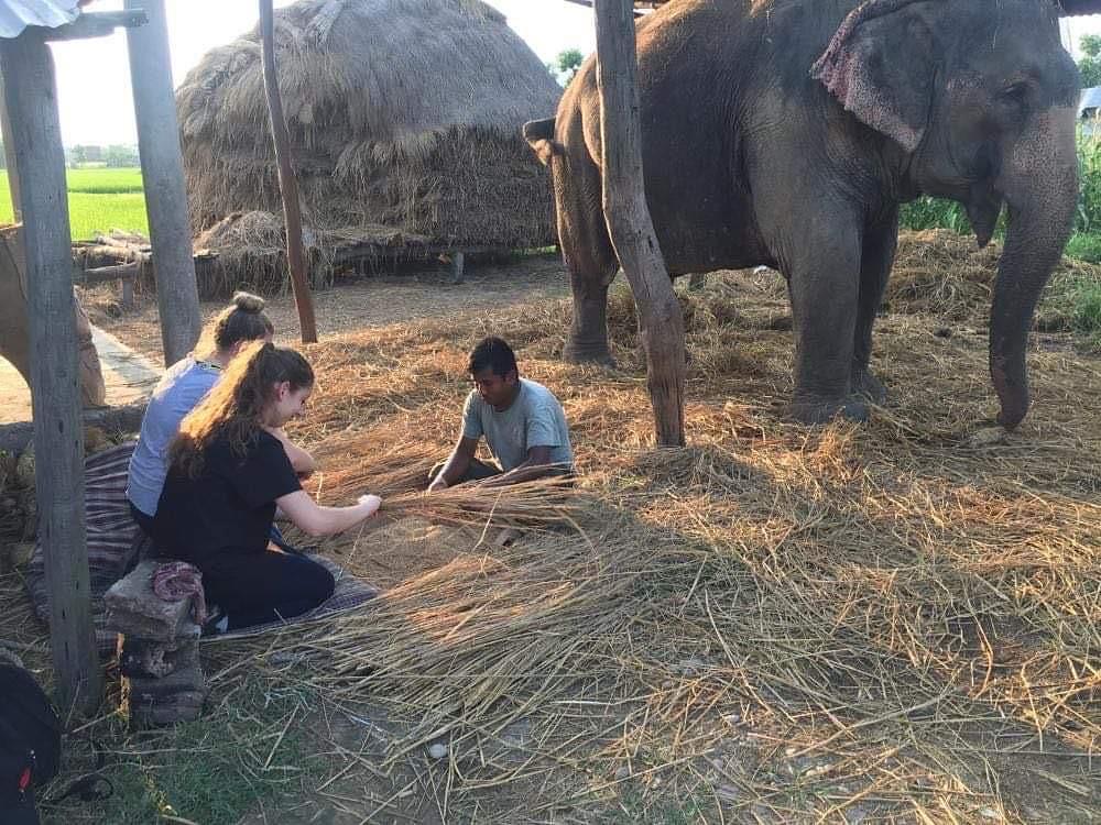 Teach English & Support Sustainable Development in Rural Nepal — full size 10