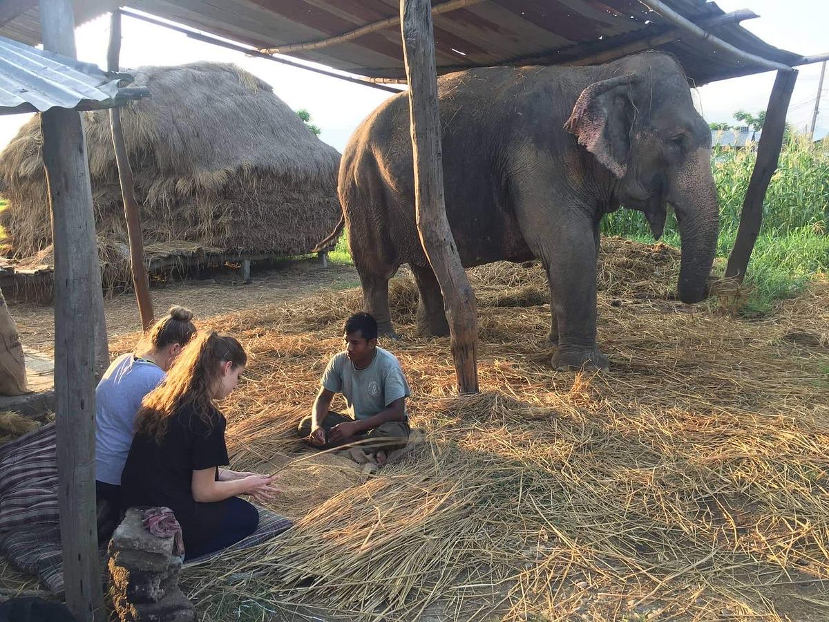 Teach English & Support Sustainable Development in Rural Nepal — full size 27