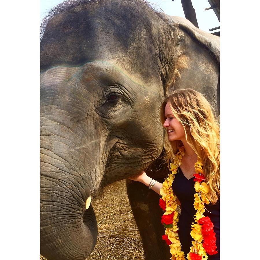 Teach English & Support Sustainable Development in Rural Nepal — full size 31