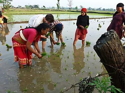 Teach English & Support Sustainable Development in Rural Nepal — photo 32