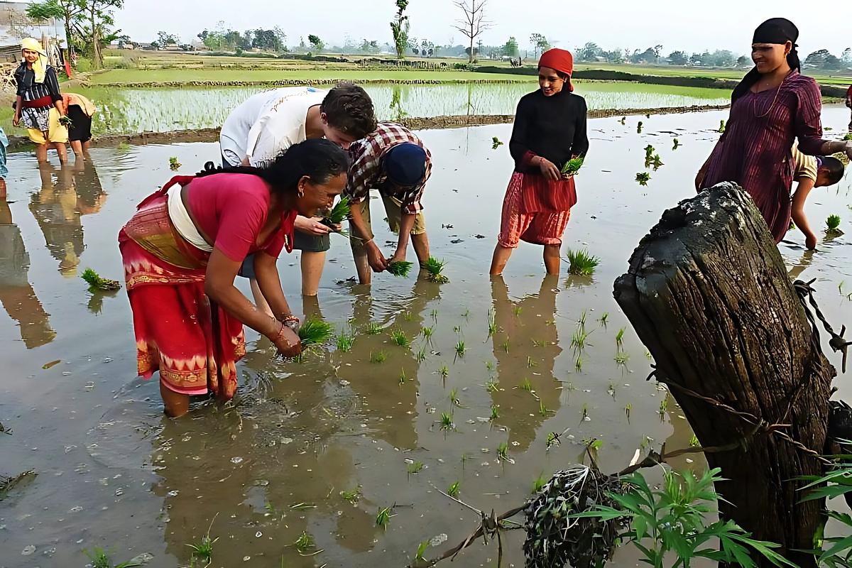 Teach English & Support Sustainable Development in Rural Nepal — full size 32